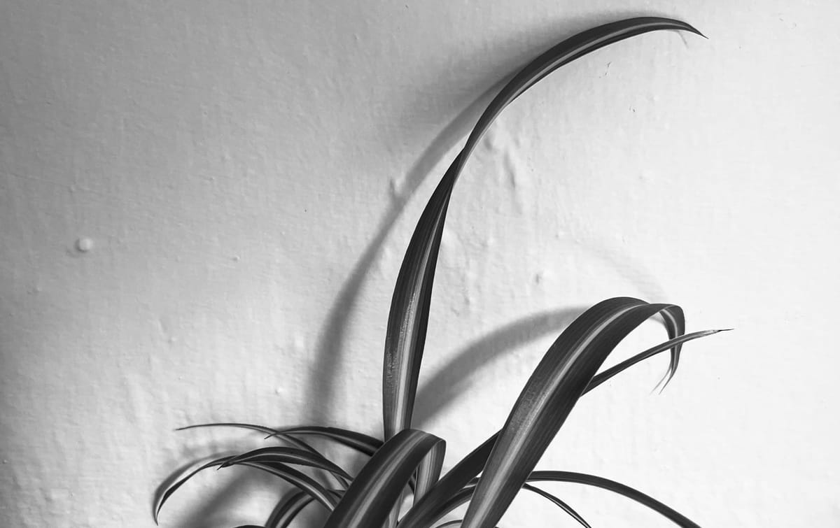 Where the Old Walls Meet Older